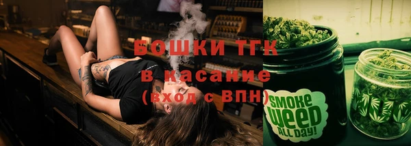 шишки Переславль-Залесский