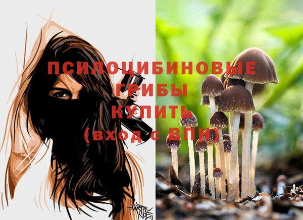 мет Осташков