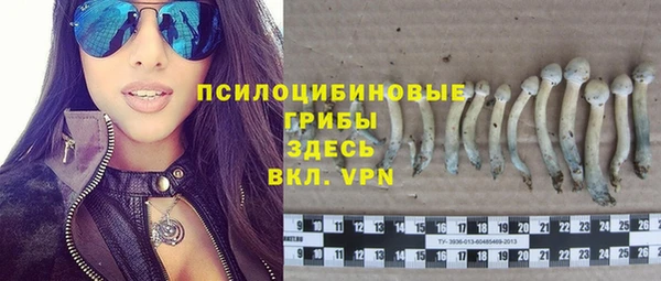 jwh Пересвет