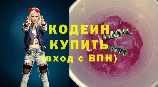 шишки Переславль-Залесский