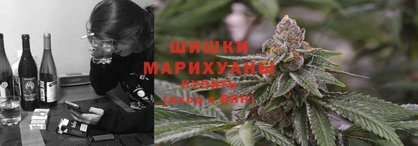 шишки Переславль-Залесский